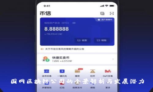国网区块链公司的全景解析与发展潜力