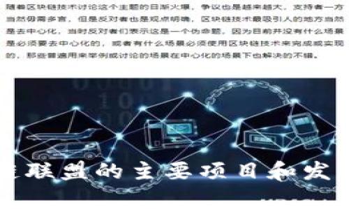 青海区块链联盟的主要项目和发展前景分析