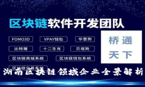 湖南区块链领域企业全景解析