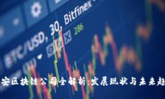 西安区块链公司全解析：