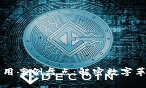 区块链成功应用案例盘点:解密数字革命的关键力量