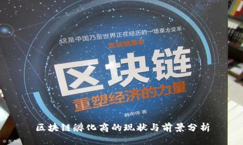 区块链孵化商的现状与前景分析