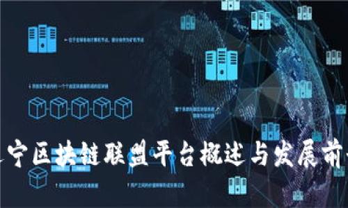 辽宁区块链联盟平台概述与发展前景