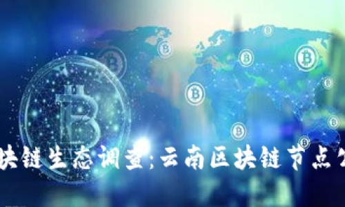 云南区块链生态调查:云南区块链节点公司全览