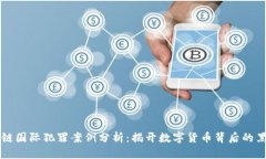 区块链国际犯罪案例分析