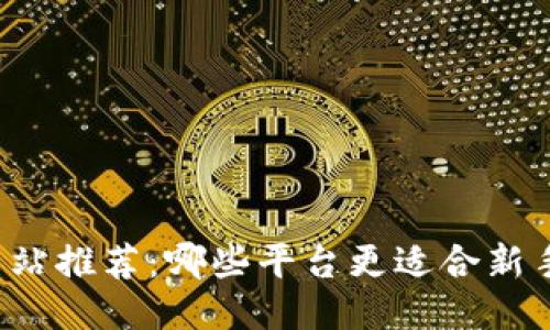 区块链交易网站推荐:哪些平台更适合新手与高手交易?