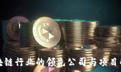 区块链行业的领先公司与项目解析