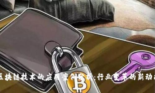 区块链技术的应用案例分析:行业变革的新动能