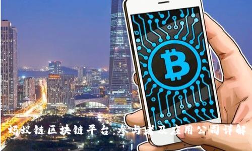 蚂蚁链区块链平台:参与者及应用公司详解