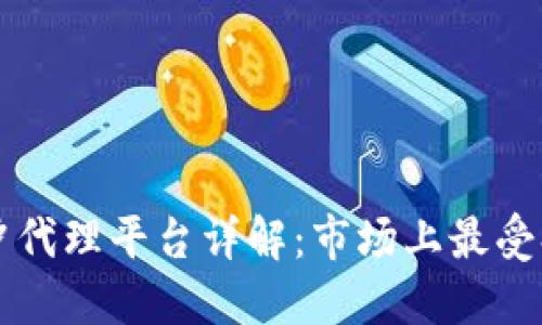 区块链对冲代理平台详解:市场上最受欢迎的选项
