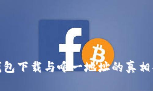TP钱包下载与唯一地址的真相揭秘