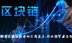 真正拥有区块链技术的公