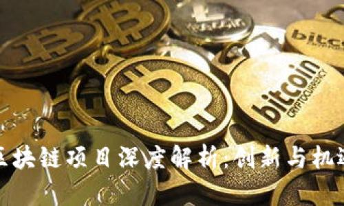 贵阳区块链项目深度解析:创新与机遇并存