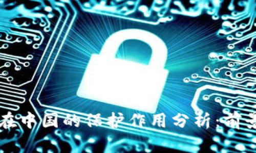 区块链在中国的保护作用分析:前景与挑战