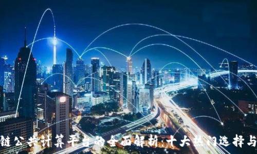 区块链公共计算平台的全面解析:十大热门选择与比较
