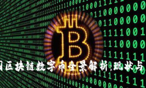 中国区块链数字币全景解析:现状与未来