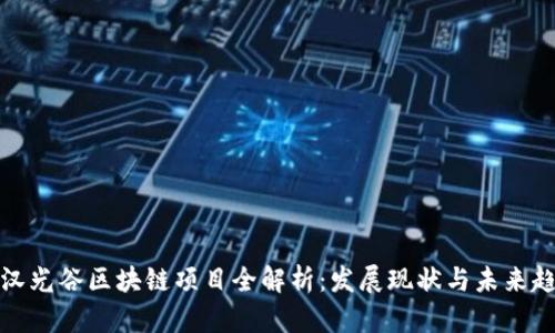 武汉光谷区块链项目全解析:发展现状与未来趋势